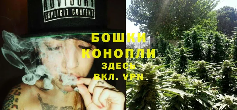 Каннабис Ganja  закладка  Губаха 